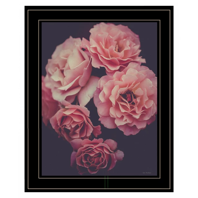 Rose black framed print wall art featuring pink hybrid tea rose with petals and plant elements