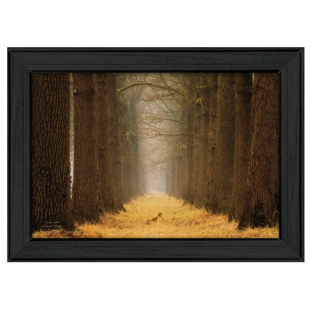path black framed print wall art featuring natural landscape with wood and plant elements