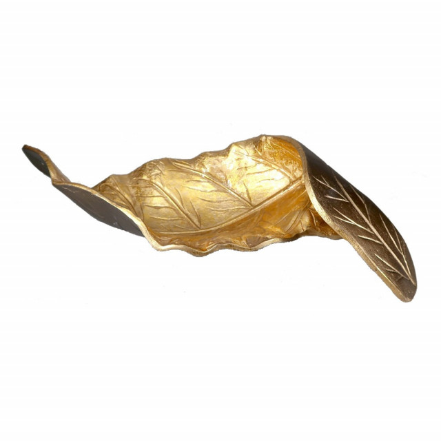 https://www.homeroots.co/product_image/products_group480001-480099/480043/480043_1.jpg