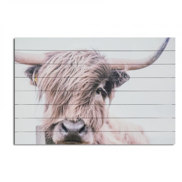 Highland cow on wooden plank wall art for rustic home decor