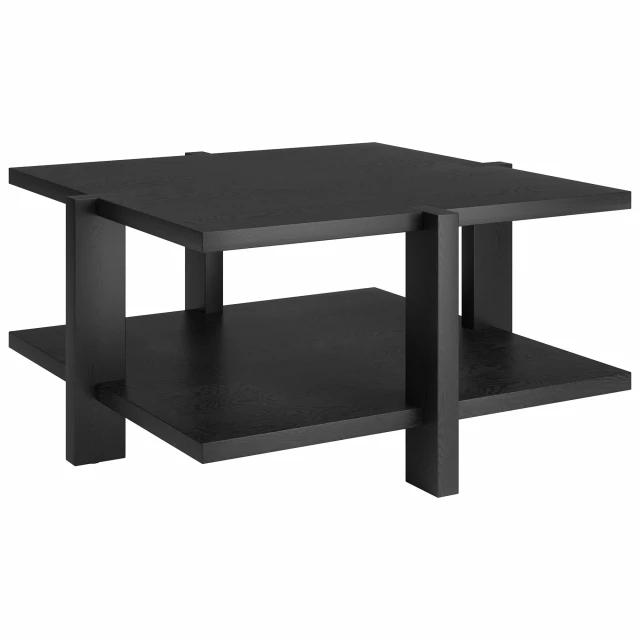 Black square coffee table with shelf and plywood finish for modern outdoor furniture