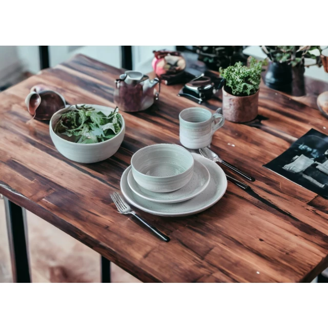 Aqua sixteen ceramic dinnerware set for four with tableware plates and houseplant decoration