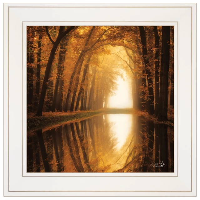 Reflections white framed print wall art featuring natural landscape with branches and woody plants