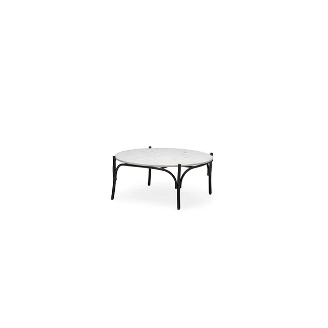 Marble black metal base coffee table with hardwood top and natural material design