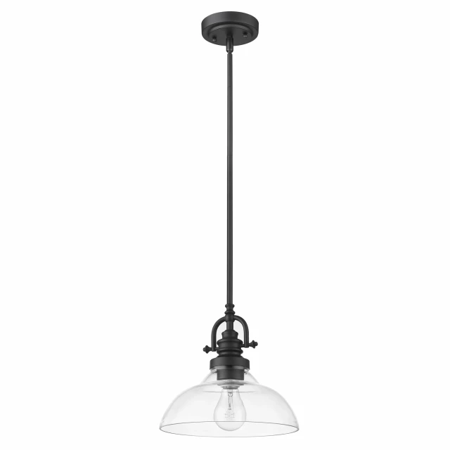 black hanging light glass dome shade ceiling fixture lamp