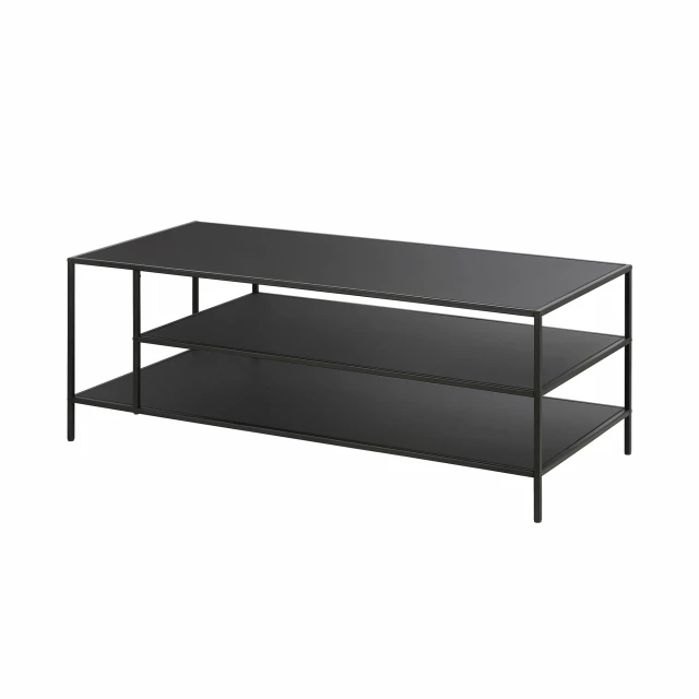 Black steel coffee table with shelves and hardwood plywood finish