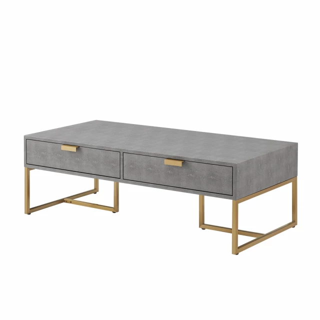 Gold stainless steel coffee table with drawers and hardwood details