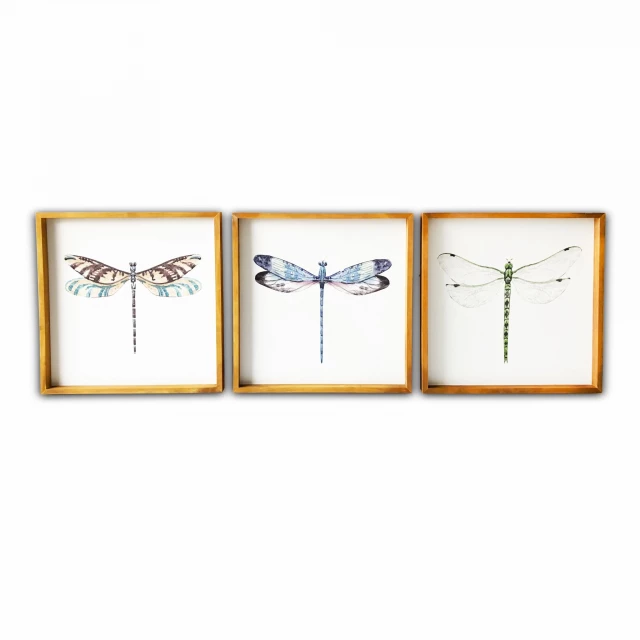 Dragonfly wood framed canvas wall art featuring an artistic painting of an insect and pollinator with parallel elements
