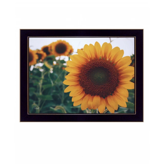 Black framed print of sunflower and botanical elements wall art