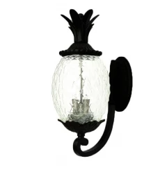 Matte Black Pineapple Wall Light