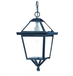 Matte Black Hanging Lantern Light