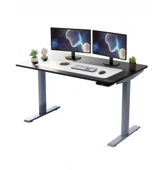 Gray and Black 52" Bamboo Dual Motor Electric Office Adjustable Computer Desk