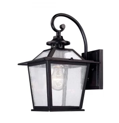 Matte Black Terrarium Shape Wall Light