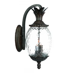 Lanai 3-Light Black Coral Wall Light
