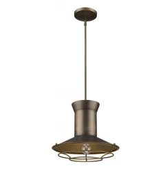 Newport 1-Light Tin Coated Pendant With Raw Brass Interior Shade And Louver