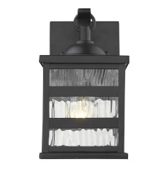 Glass panel Matte Black Outdoor Cage Light