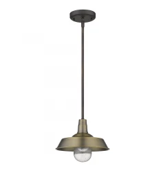 Brushed Gold Shallow Plate Adjustable Pendant Light