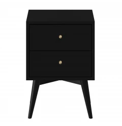 Black Century Modern Wood 2 Drawer Nightstand