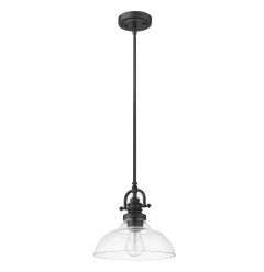 Matte Black Hanging Light with Glass Dome Shade