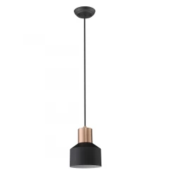 Matte Black and Rose Gold Pendant Hanging Light