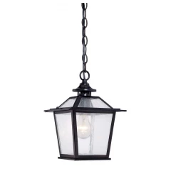 Matte Black Terrarium Shape Hanging Light