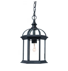 Matte Black Cage Hanging Light
