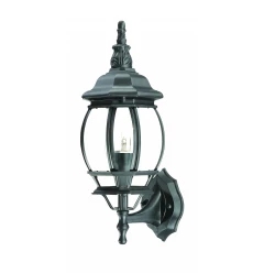 Matte Black Ornamental Glass Globe Wall Light