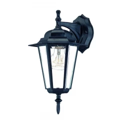 Matte Black Glass Hanging Lantern Wall Light