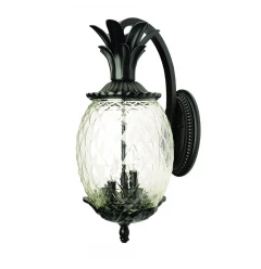 Matte Black Hanging Pineapple Wall Light