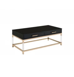 44" Gold And Black High Gloss Manufactured Wood And Metal Rectangular Coffee Table With Two Drawers