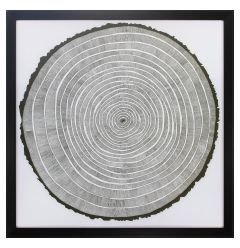 26" X 26" Dark Wood Toned Frame Tree Theory