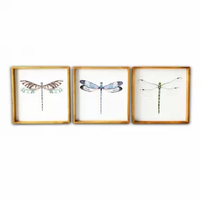 Set of Three Dragonfly Wood Framed Canvas Wall Art