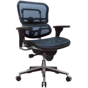 Blue and Silver Adjustable Swivel Mesh Rolling Office Chair