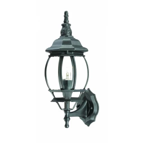 Matte Black Ornamental Glass Globe Wall Light