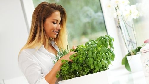 Bring the Outside Indoors This Fall with Indoor Window Boxes