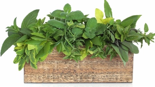 How to Build a Raised Box Herb Garden in Small Spaces