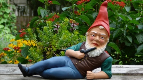 The History Behind the Garden Gnome and If You Should Get One