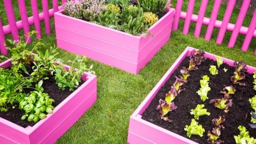 Great Raised Garden Designs, Tips and Tricks - House Tipster