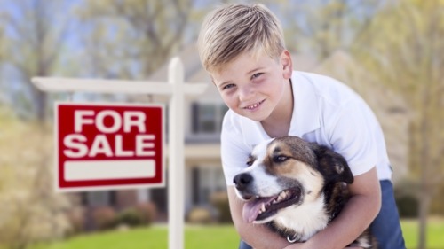 Useful Tips for De-Petting Your Home Before You Put It Up For Sale