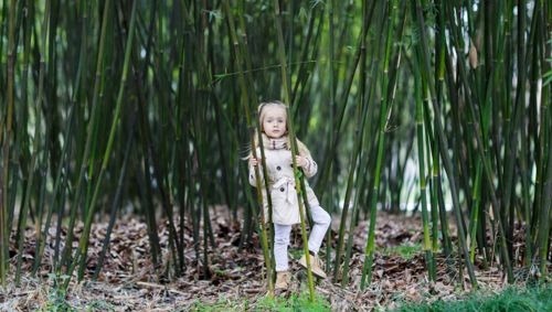 How to Get Rid of Bamboo from Your Yard