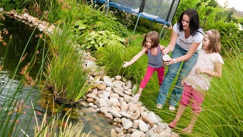 Tips for Choosing the Correct Plants for Your Outdoor Fish Pond