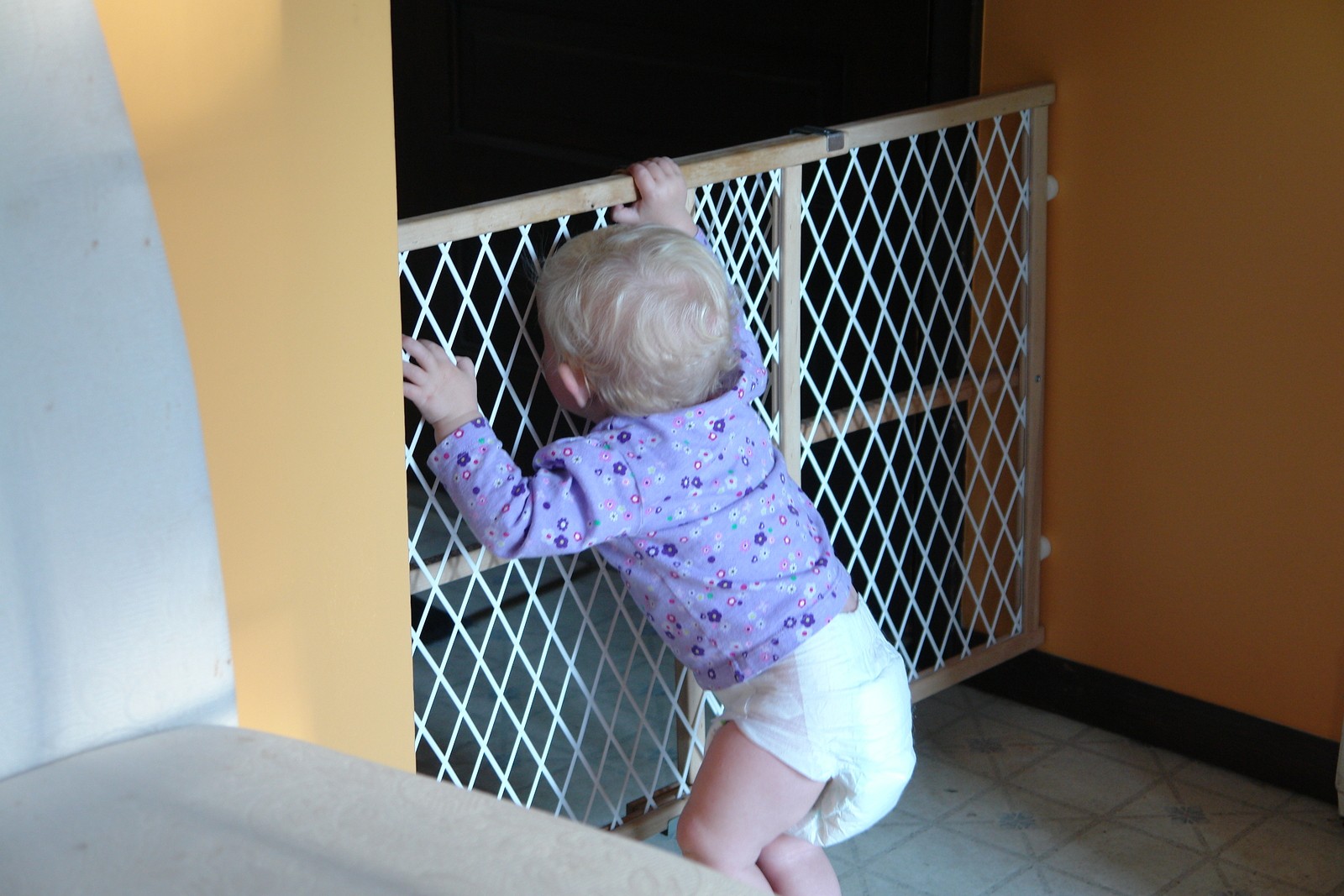 Baby gate